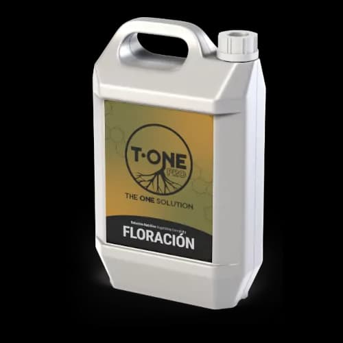 Floraison