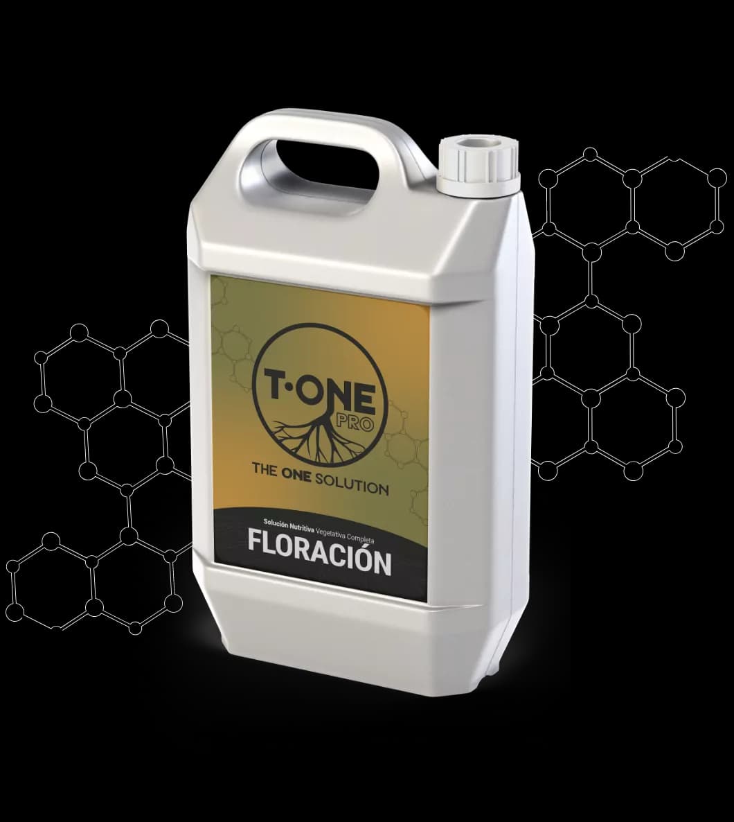 Floraison
