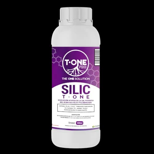 Silicium